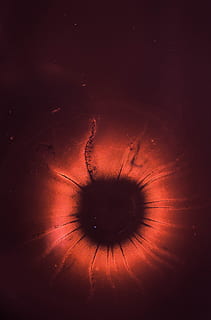 ull, vermell, iris, alumne, macro, part del cos humà, part del cos, una persona, a l'interior, primer pla, fons, resum, ull humà, tir de l'estudi, misteri, pestanya, naturalesa, primer pla extrem, vista, iris - ull, globus ocular, 4K, CC0, domini públic, lliure de regalies