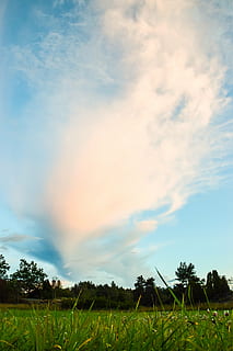 nube, cama, ir, Himmel, paisajes, país, naturaleza, hermosamente, hierba, Suecia, verano, verde, cielo, nube - cielo, planta, campo, tierra, paisaje, belleza en la naturaleza, crecimiento, paisajes - naturaleza, escena tranquila, tranquilidad, ambiente, agricultura, árbol, escena rural, nadie, cultivo, color verde, al aire libre, plantación, 5K, CC0, dominio público, libre de derechos