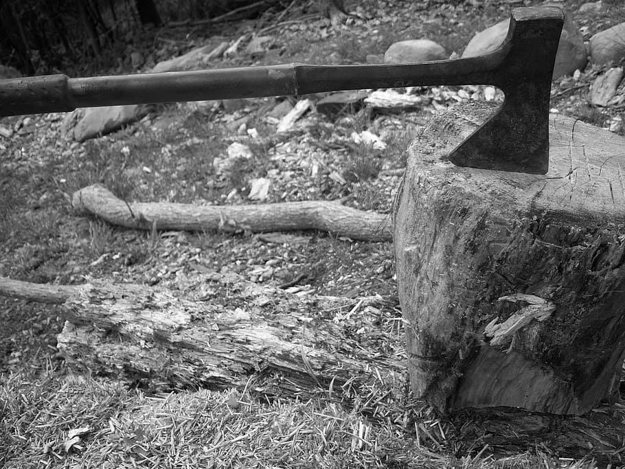 fotografia in scala di grigi, ascia, ceppo di legno, lama, bloccare, carpenteria, taglio, tritare, faccende, morto, Pericolo, la deforestazione, legna da ardere, energia, carburante, ceppo, taglialegna, erba, maniglia, accetta, legname, natura, strumento, Diviso, utensili, acuto, metallo, cartello, ferro, arma, legna, corteggiare, terra, nessuno, giorno, campo, pianta, legno - materiale, abbandonato, albero, all'aperto, vecchio, obsoleto, danneggiato, avvicinamento, vista dall'alto, arrugginito, ruota, 2K