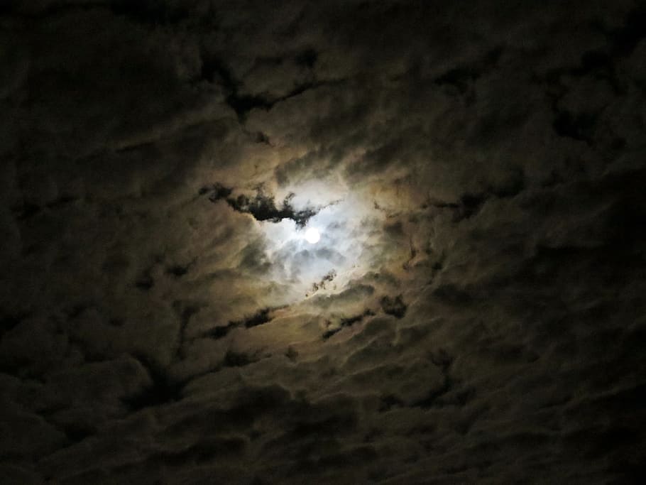 Luna, coperto, nuvole, Luna piena, chiaro di luna, prima dell'eclissi lunare, mistico, notte, Luna Rossa, luce, illuminazione, cielo, nuvola - cielo, natura, buio, nessuno, cielo drammatico, all'aperto, spazio, volante, fauna selvatica, nuvoloso, tempesta, Inquadratura dal basso, bellezza nella natura, astronomia, silhouette, infausto, uccello, 4K