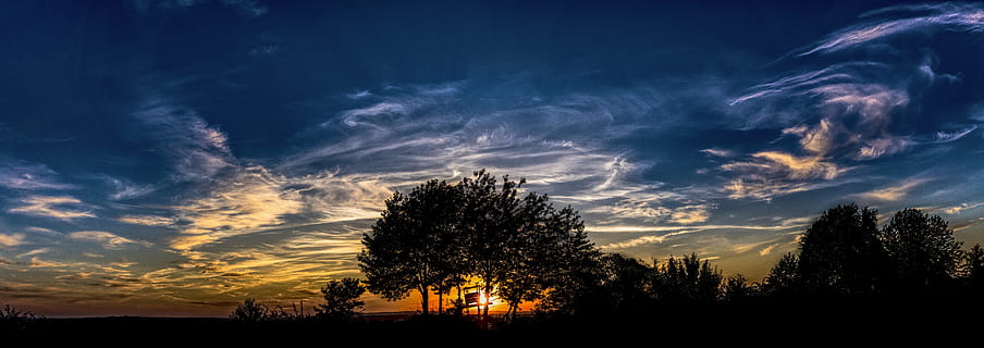 alto, albero, panorama, tramonto, nuvole, sera, abendstimmung, era cacciatore, pertica, alberi, foresta, cielo, ultimi bagliori, cielo serale, umore, sole, rosso, natura, crepuscolo, silhouette, drammatico, giallo, arancia, blu, luce posteriore, rurale, estate, paesaggio, nuvola - cielo, Paesaggi, all'aperto, Cloudscape, bellezza nella natura, colore arancione, luce del sole, cielo drammatico, scena tranquilla, nessuno, pianta, scenics - natura, la tranquillità, ambiente, buio, idilliaco, scena non urbana, 8K, CC0, dominio pubblico, privo di copyright