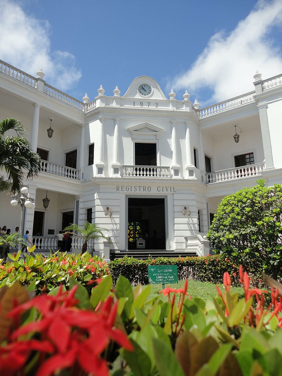 edifici, flors, cel, núvols, veracruz, arquitectura, exterior de l'edifici, a l'aire lliure, estructura construïda, planta, naturalesa, flor, planta amb flors, creixement, dia, vista d’angle baix, núvol - cel, cap gent, religió, lloc de culte, creença, Color blanc, part de la planta, columna arquitectònica, 2K
