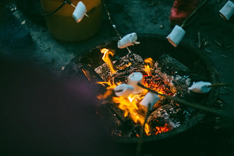 persone grigliate marshmallows, marshmallow in fiamme, falò, firepit, fuoco di bivacco, marshmallow, fuoco, all'aperto, bastone, campo, fiamma, caldo, bruciare, smore, divertimento, estate, ardente, calore - temperatura, fuoco - fenomeno naturale, natura, campeggio, cibo, cibo e bevande, messa a fuoco selettiva, mano, vista dall'alto, mano umana, avvicinamento, carbone, parte del corpo umano, giorno, 5K, CC0, dominio pubblico, privo di copyright