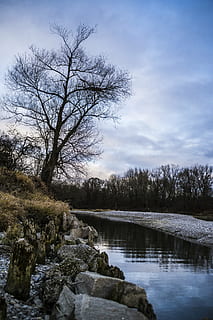 isar, arbre, cel, núvols, naturalesa, riu, turisme, aigua, banc, romàntic, humor, atmosfera, sol, duplicació, blau, baviera, blanc, Alemanya, aigües, llum, paisatge, llac, canal, groc, morgenstimmung, posta de sol, idíl·lic, lichtspiel, descans, tranquil, Costa, sortida del sol, al matí, calor, bosc, a l'aire lliure, hivern, escenics, planta, tranquil·litat, bellesa a la natura, arbre nu, núvol - cel, escena tranquil·la, escenics - natura, cap gent, escena no urbana, dia, reflexió, remot, terra, que flueix, 5K, CC0, domini públic, lliure de regalies