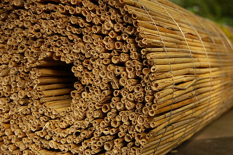 Schilf, rollen, Zaun, Holz - Material, braun, Nahansicht, Stapel, Essen und Trinken, keine Leute, Lebensmittel, Tag, Frische, Fokus auf den Vordergrund, Container, Korb, Stillleben, Fülle, große gruppe von gegenständen, Muster, Korbweide, drinnen, texturiert, Samen, Snack, 2K, CC0, gemeinfrei, lizenzfrei