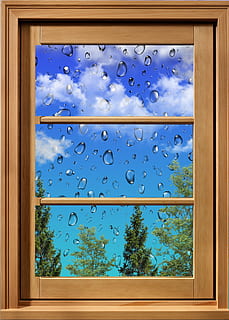 sky, window, rain, clouds, blue, no people, transparent, indoors, glass - material, day, nature, tree, close-up, drop, water, plant, low angle view, wet, bubble, raindrop, purity, 4K, CC0, public domain, royalty free