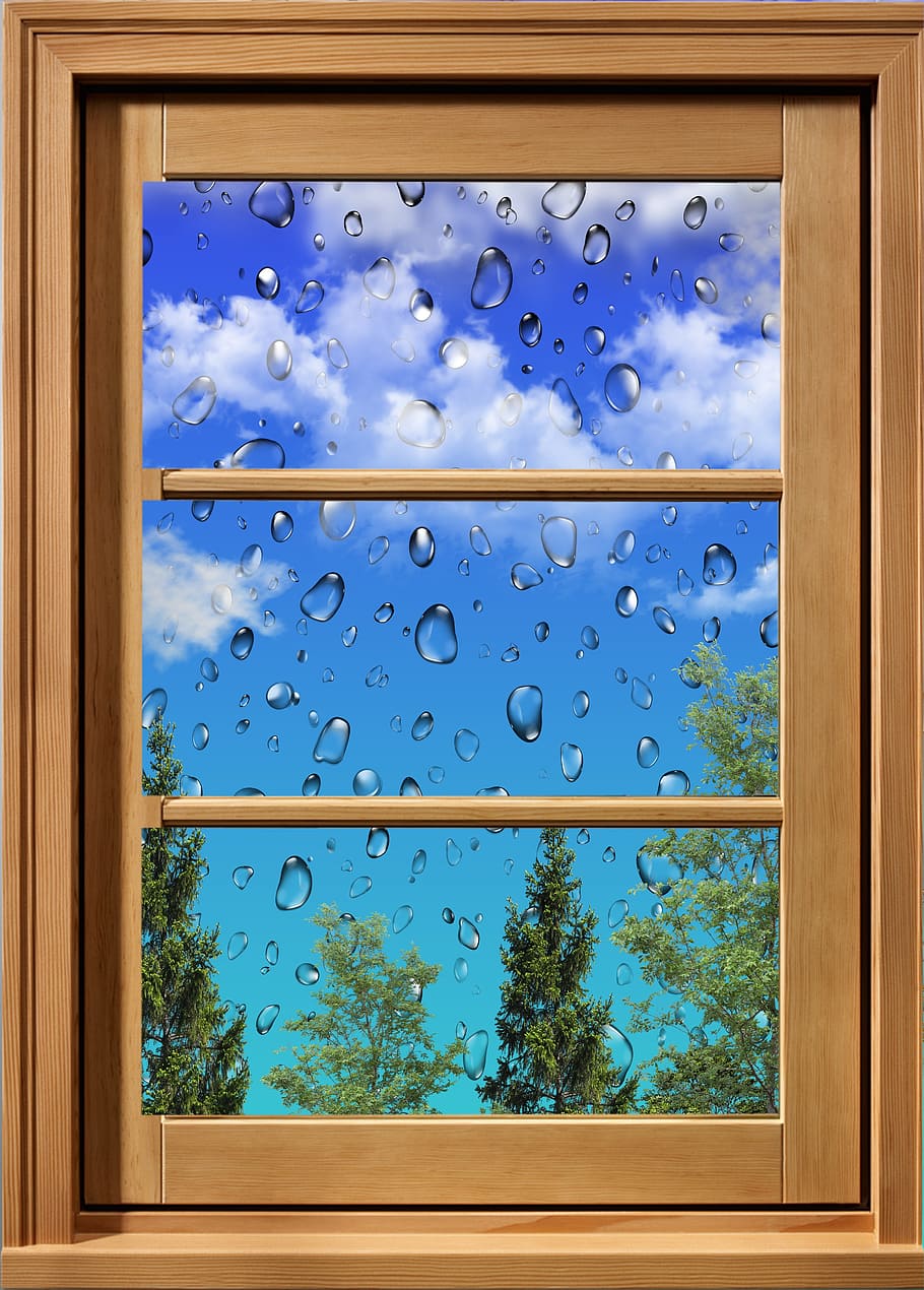sky, window, rain, clouds, blue, no people, transparent, indoors, glass - material, day, nature, tree, close-up, drop, water, plant, low angle view, wet, bubble, raindrop, purity, 4K