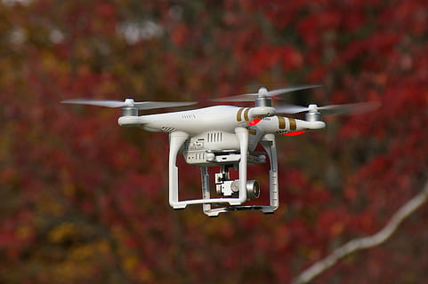 blanc, or dji, fantasma, 3, professional, selectiu, focalitzar la fotografia, dji, drone, volant, màquina, càmera, rotor, helicòpter, vehicle aeri, vigilància, tecnologia, transport, càmera - equip fotogràfic, hèlix, avió, quadcopter, vermell, a l'aire lliure, dia, cap gent, primer pla, centrar-se en primer pla, naturalesa, arbre, a l'aire, planta, comunicació, Color blanc, moviment, manera de transport, 2K, CC0, domini públic, lliure de regalies