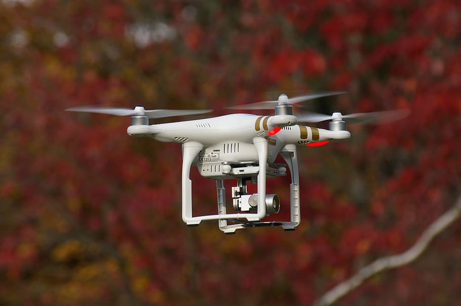 blanc, or dji, fantasma, 3, professional, selectiu, focalitzar la fotografia, dji, drone, volant, màquina, càmera, rotor, helicòpter, vehicle aeri, vigilància, tecnologia, transport, càmera - equip fotogràfic, hèlix, avió, quadcopter, vermell, a l'aire lliure, dia, cap gent, primer pla, centrar-se en primer pla, naturalesa, arbre, a l'aire, planta, comunicació, Color blanc, moviment, manera de transport, 2K