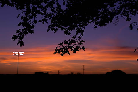 silhouet van de boom, silhouet foto, boom, straatposten, zonsondergang, blad, licht, zonsopkomst, hemel, silhouet, fabriek, schoonheid in de natuur, scenics - natuur, natuur, wolk - lucht, geen mensen, Oranje kleur, kalmte, rustige scène, buitenshuis, niet-stedelijke scène, tak, schemer, idyllisch, groei, straatlantaarn, 4K, CC0, publiek domein, royaltyvrij