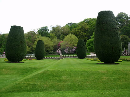 parc, mantingut, pressa, herba, jardí anglès, arbusts, arbres, segat, planta, arbre, color verd, topiaria, naturalesa, bellesa a la natura, cel, tranquil·litat, dia, cap gent, escena tranquil·la, creixement, escenics - natura, cel clar, jardí, jardí formal, a l'aire lliure, parc - l'home va fer espai, cobertura, 4K, CC0, domini públic, lliure de regalies