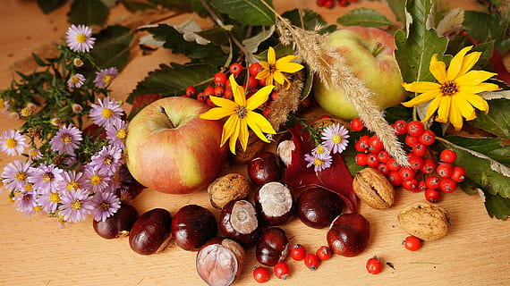 sort frugt maleri, natur, planter, sammensætning, frugt, efterår, blomster, ornamental solsikke, astra, æbler, røn, kastanier, blad, sæson, mad, træ - materiale, baggrunde, rød, blomst, blomstrende plante, friskhed, plante, mad og drikke, sund kost, velvære, ingen mennesker, skønhed i naturen, bord, skrøbelighed, sårbarhed, tæt på, indendørs, valg, æble - frugt, variation, blomsterhoved, solsikke, 1080P, CC0, offentligt domæne, royaltyfrie