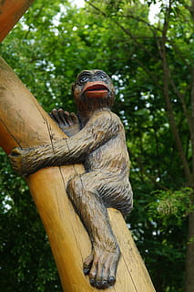 mico, arbre, äffchen, jungla, zoo, naturalesa, animal, temes d'animals, planta, fauna animal, dia, vertebrats, un animal, centrar-se en primer pla, vista d’angle baix, material de fusta, mamífer, animals a la natura, cap gent, representació, art i artesania, branca, a l'aire lliure, primat, 5K, CC0, domini públic, lliure de regalies