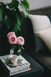 dejlig, roseses, Bestil, kaffe, Rose, roser, indre, hvilende, slap af, væsentlige, læsning, tid, rosa roser, bøger, kop kaffe, rosenblomst, indendørs, bord, dekoration, indretning, blomst, hjemlige værelse, kop, buket, vase, elegance, ingen mennesker, plante, blomstrende plante, skønhed i naturen, friskhed, tæt på, natur, fokus på forgrunden, blomsterhoved, lyserød farve, sårbarhed, skrøbelighed, møbel, kaffebord, blomster arrangement, porcelæn, 4K