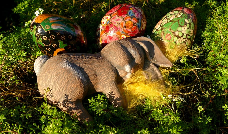 Pasqua, conill de Pasqua, llebre, conill, colorit, decoració de pasqua, figura, bonic, dolç, Feliç Pasqua, planta, camp, naturalesa, herba, cap gent, temes d'animals, dia, animal, llum solar, terra, a l'aire lliure, vertebrats, mamífer, representació, art i artesania, creativitat, creixement, representació animal, arbre, fauna animal, motiu floral, 4K