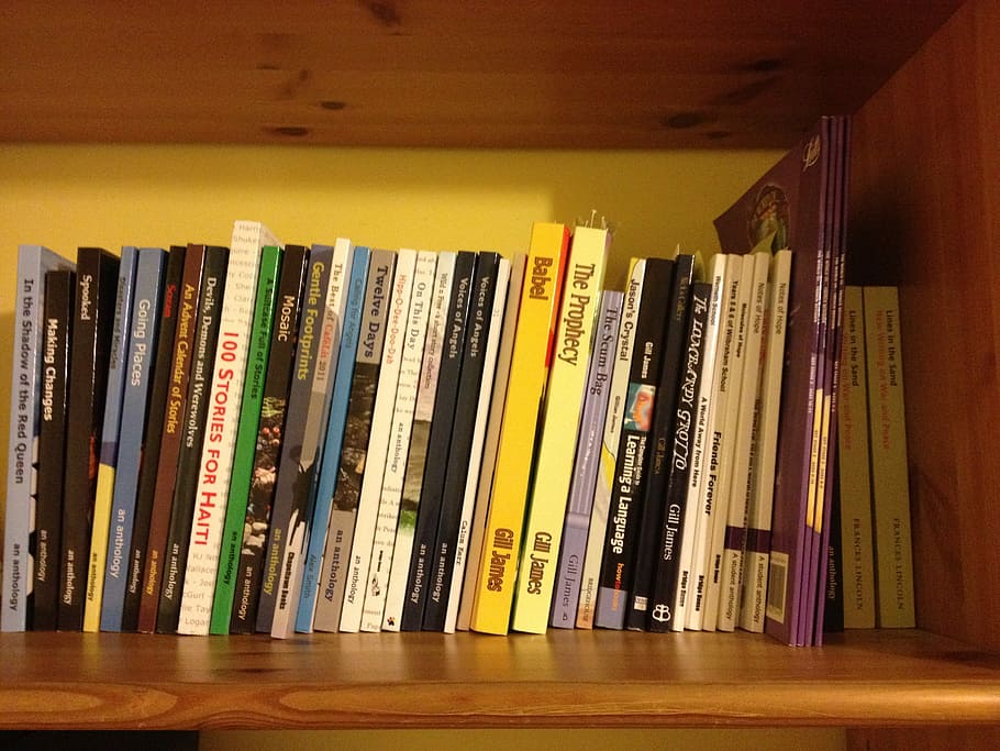 llibre, col·leccions, estudiar, oficina, escola, prestatge per a llibres, prestatge, a l'interior, biblioteca, en fila, educació, publicació, gran grup d'objectes, elecció, literatura, variació, col · lecció, abundància, aprenentatge, cap gent, arranjament, interior de casa, ordre, llibre de tapa dura, 2K