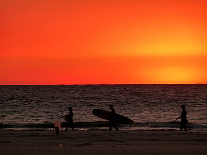 three, person, walking, beach shore, silhouette, seashore, carrying, surf, board, golden, hour, sunset, red, sky, beach, sand, ocean, water, surfing, surfer, surfboard, summer, sea, nature, animals in the wild, scenics, animal wildlife, horizon over water, bird, orange color, land, beauty in nature, scenics - nature, horizon, leisure activity, people, outdoors, 2K, CC0, public domain, royalty free