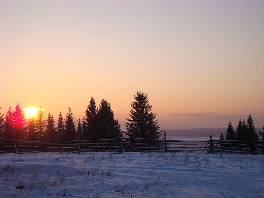 posta de sol, hivern, ural, paisatge, neu, cel, temperatura de fred, bellesa a la natura, arbre, escenics - natura, tranquil·litat, planta, escena tranquil·la, naturalesa, cobertura, camp, terra, medi ambient, sol, color taronja, escena no urbana, cap gent, a l'aire lliure, 2K