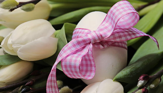 ou, arc, blanc, flor de lliri, ou de Pasqua, Pasqua, llagosta de salze, decoració, salutació de pasqua, decoracions de pasqua, primavera, deco, tradició, decoració de pasqua, Feliç Pasqua, targeta de felicitació, postal, salutacions de pasqua, bucle, osterkarte, fons, tulipes, flors, mapa, tema de pasqua, tulipes blancs, rosa, ornament, menjar i beguda, vegetals, frescor, menjar, primer pla, alimentació saludable, benestar, cap gent, planta, dia, color rosa, color verd, creixement, flor, naturalesa, planta amb flors, part de la planta, full, a l'aire lliure, centrar-se en primer pla, porpra, 5K, CC0, domini públic, lliure de regalies