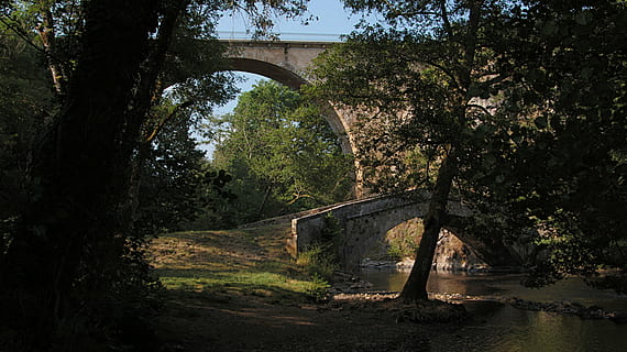 bridge, light, river, cure, bridges, tree, plant, connection, bridge - man made structure, nature, architecture, water, no people, growth, built structure, tranquility, forest, beauty in nature, land, arch, day, outdoors, arch bridge, 5K, CC0, public domain, royalty free