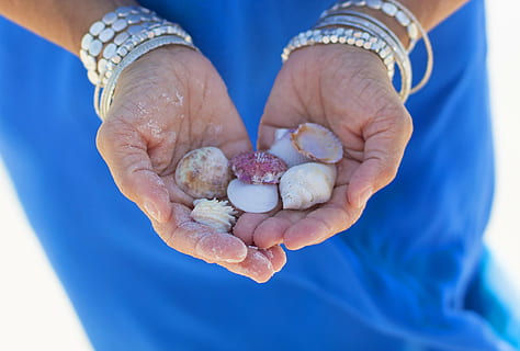 vrouw, bezit, shells met diverse kleuren, schelpen, strand, oceaan, vakantie, zee, blauw, zomer, zand, reizen, tropisch, natuur, water, toerisme, zonnig, kust, zon, paradijs, kom tot rust, hemel, kust-, landschap, eiland, zonlicht, dag, zonneschijn, Golf, buitenshuis, zeeschelp, natuurlijk, toevlucht, ontspanning, armbanden, seizoen, kustlijn, vrije tijd, recreatie, zeegezicht, helder, zomertijd, menselijke hand, menselijk lichaamsdeel, hand-, een persoon, volwassen, detailopname, midsection, handen gecupt, armband, tonen, casual kleding, voedsel, senior volwassene, eten en drinken, schelp, dieren schaal, waardevolle edelsteen, 5K, CC0, publiek domein, royaltyvrij
