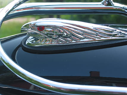 Galionsfigur, Motorrad, Sommer-, Adler, Adlerkopf, Chrom, Transportmittel, Landfahrzeug, Transport, Kraftfahrzeug, Auto, Reflexion, Nahansicht, Metall, Tag, Fokus auf den Vordergrund, Oldtimer, keine Leute, Fahrzeugteil, glänzend, draußen, Scheinwerfer, Retro-Stil, stationär, silberfarben, Luxus, stehlen, 1080P, CC0, gemeinfrei, lizenzfrei