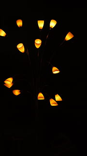llum, atmosfera, nit, fons negre, il·luminat, defocated, eteri, cap gent, equips d’il·luminació, brillant, fosc, a l'interior, primer pla, llum - fenomen natural, electricitat, habitació fosca, decoració, còpia espai, patró, tir de l'estudi, habitació domèstica, naturalesa, cremant, llum elèctrica, 4K, CC0, domini públic, lliure de regalies