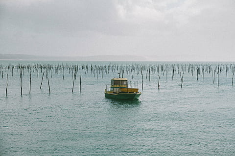 gray, white, boat, body, water, daytime, sailing, blue, sky, waterfront, nature, sea, tranquility, nautical vessel, outdoors, transportation, no people, day, mode of transportation, cloud - sky, scenics - nature, beauty in nature, horizon, tranquil scene, horizon over water, sailboat, anchored, fishing industry, wooden post, 5K