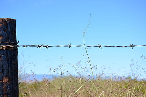 verd, herba, barbada, cable, fusta, núvols, blau, cel, naturalesa, tanca, barrera, seguretat, límit, filferro espinós, cel clar, protecció, metall, cap gent, dia, camp, terra, planta, a l'aire lliure, còpia espai, post de fusta, 4K, CC0, domini públic, lliure de regalies