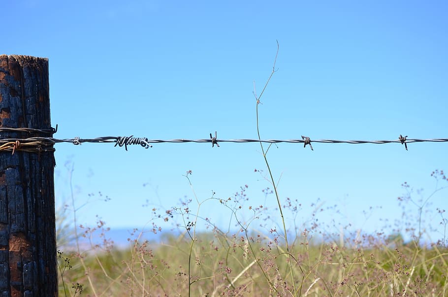 verd, herba, barbada, cable, fusta, núvols, blau, cel, naturalesa, tanca, barrera, seguretat, límit, filferro espinós, cel clar, protecció, metall, cap gent, dia, camp, terra, planta, a l'aire lliure, còpia espai, post de fusta, 4K