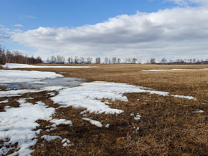 felter, forår, pløjning, eng, natur, landskab, træ, sne, smeltevand, vandpytter, vinter, kold temperatur, sky - himmel, himmel, dag, plante, skønhed i naturen, ingen mennesker, jord, miljø, Mark, ro, scenics - natur, hvid farve, rolig scene, udendørs, 1080P, CC0, offentligt domæne, royaltyfrie