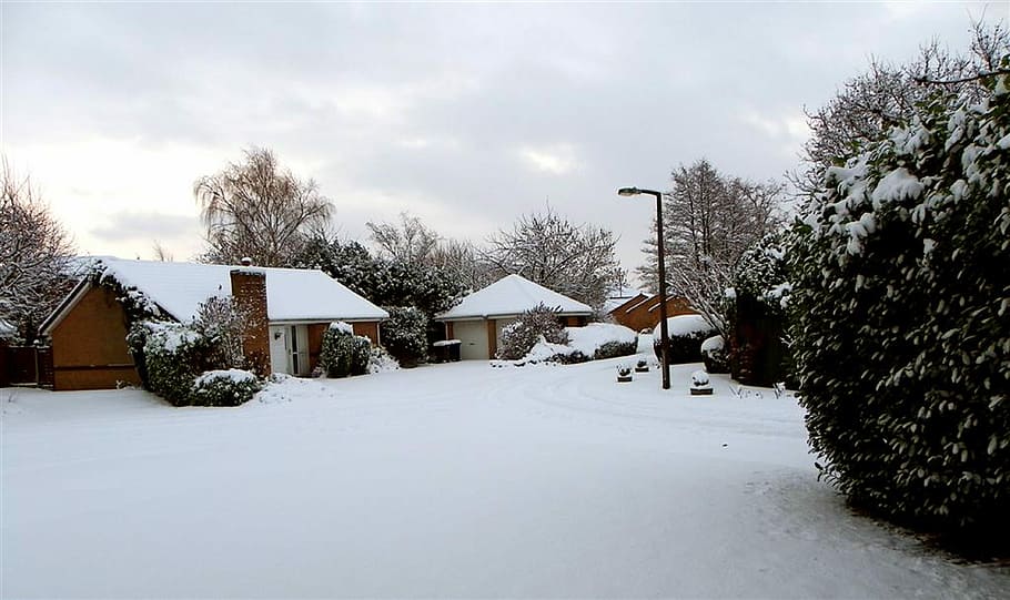 dentro, il tetro, l'inverno medio, nel, il, brullo, pieno inverno, inverno, la neve, temperatura fredda, Casa, esterno dell'edificio, albero, architettura, struttura costruita, costruzione, quartiere residenziale, pianta, natura, paesaggio, ambiente, cielo, congelato, giorno, nuvola - cielo, all'aperto, nevicando, 4K