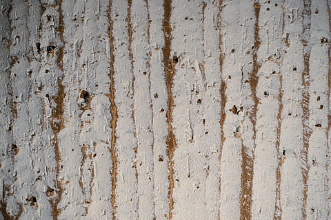structura, model, fundal, textură, piatră, abstract, fundaluri, texturată, cadru complet, erodate, montare pe perete, vechi, nici o persoana, deteriorat, stare brută, a închide, dărâma, declin, deteriorare, arhitectură, construită, stare proastă, lemn - material, murdar, murdărie, rumegus, beton, 4K, CC0, domeniu public, fără drepturi de autor