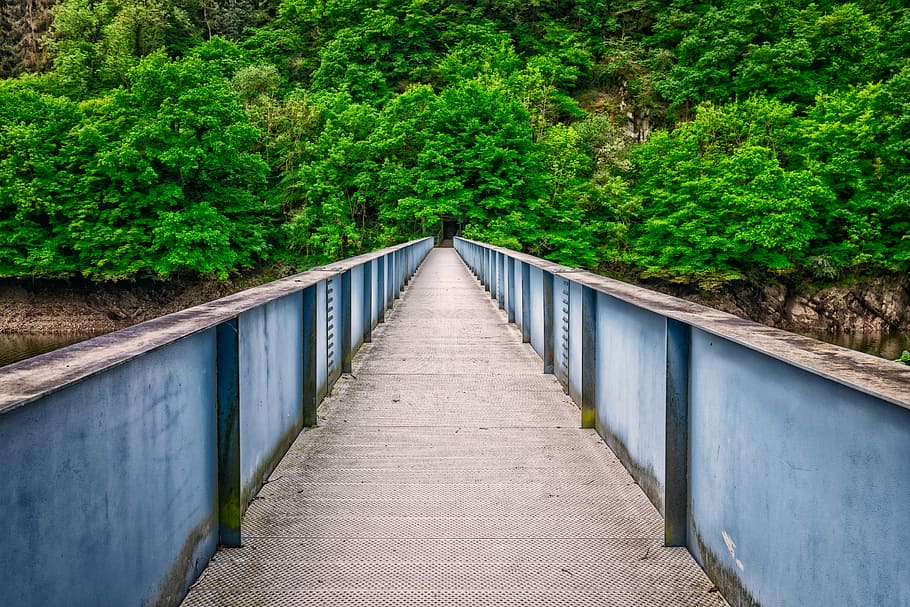 gris, puente, árbol, tiempo de día, río, paisaje, transición, romántico, excursionismo, puente peatonal, metal, arquitectura, planta, estructura construida, crecimiento, dirección, el camino a seguir, conexión, color verde, naturaleza, día, perspectiva decreciente, nadie, barandilla, puente - estructura hecha por el hombre, agua, sendero, al aire libre, largo, 5K