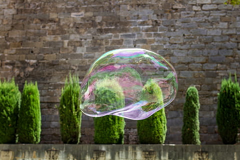sæbeboble, boble, flyve, flyde, iriserende, farverig, afspejling, glimmer, ingen mennesker, skrøbelighed, dag, arkitektur, bygget struktur, udendørs, træ, boblestang, natur, friskhed, mursten, sårbarhed, væg, gennemsigtig, murstens væg, plante, Midt i luften, sæbe sud, grøn farve, tæt på, murbygningsfunktion, 5K, CC0, offentligt domæne, royaltyfrie