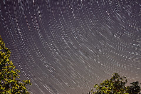 časová prodleva, nebe, plný, hvězda, zelená, stromy, šedá, noc, strom, startrail, pohyb, noční obloha, hvězda stezka, sdělení, záře, síť, pozadí, podnikání, fantazie, zavřít, hvězda - prostor, astronomie, prostor, dlouhé expozice, scenics - příroda, krása v přírodě, rostlina, Příroda, nikdo, klid, hvězdné pole, nízký úhel pohledu, klidné scény, idylický, venku, prostor a astronomie, soustředný, 4K, CC0, veřejná doména, bez autorských práv