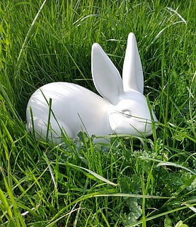 easter, hare, rabbit, spring, animal, grass, plant, green color, growth, white color, nature, no people, field, day, close-up, rabbit - animal, land, animal themes, representation, animal representation, outdoors, flower, fragility, blade of grass, 2K, CC0, public domain, royalty free