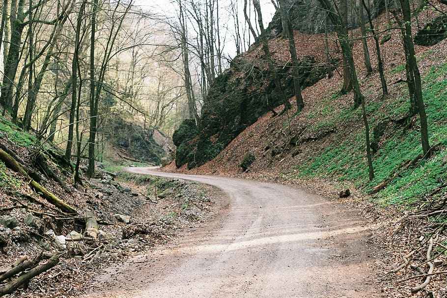 arbres, endavant, Carretera bruta, carretera, sense fulles, herba, branques, boscos, naturalesa, a l'aire lliure, ruta, Camí, brutícia, turons, roques, arbre, el camí a seguir, bosc, corba, transport, paisatge, escenics, planta, direcció, terra, tranquil·litat, escena tranquil·la, bellesa a la natura, escena no urbana, dia, cap gent, creixement, muntanya, escenics - natura, 1080P