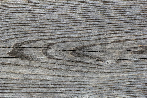arbre, pissarra, gris, vell pi, tauler, fons, aspre, textura, fons de pantalla, patró, marc complet, material de fusta, gra de fusta, fusta, cap gent, marró, vista d’angle alt, primer pla, sòls, dia, esquerdat, patró natural, a l'aire lliure, vell, naturalesa, antiguitat, efecte texturat, 5K, CC0, domini públic, lliure de regalies