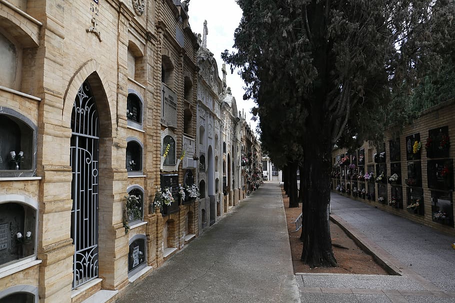 cimitero, controluce, Spagna, architettura, crepuscolo, nuvole, immobilità, tramonto, pace, zen, nicchie, tombe, destinazioni di viaggio, città, giorno, all'aperto, nessuno, esterno dell'edificio, struttura costruita, albero, costruzione, arco, pianta, direzione, la strada davanti, natura, persone accessorie, storia, il passato, strada, sentiero, prospettiva decrescente, 5K