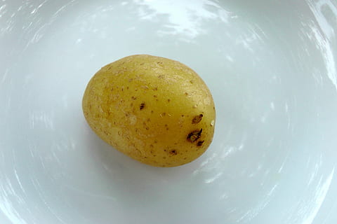 patata, cuit, menjar, menjar i beguda, alimentació saludable, a l'interior, frescor, benestar, cap gent, primer pla, placa, vista d’angle alt, natura morta, vegetals, fruita, llest per menjar, sol objecte, patata crua, directament a sobre, preparació, 4K, CC0, domini públic, lliure de regalies