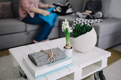 wooden, table, potted, plant, grey, wallet, Small, wooden table, potted plant, magazines, white, wheels, indoors, living Room, sofa, adult, home Interior, women, decor, caucasian Ethnicity, domestic Life, lifestyles, color Image, domestic Room, furniture, sitting, men, people, one person, one man only, industry, flower, real people, nature, flowering plant, leaf, growth, plant part, casual clothing, leisure activity, focus on foreground, coffee table, gardening, 5K