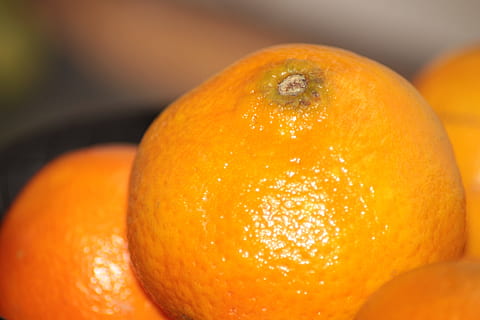 mandarín, Fruta, naranja, color naranja, comida y bebida, alimentación saludable, Fruta cítrica, comida, bienestar, de cerca, frescura, nadie, centrarse en primer plano, adentro, naturaleza muerta, Mandarina, orgánico, maduro, foto de estudio, solo objeto, 5K, CC0, dominio público, libre de derechos