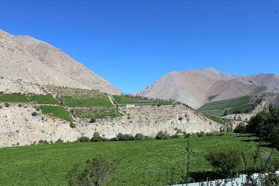 muntanya, xile, elqui, mount, gran, paisatge, medi ambient, escenics - natura, cel, bellesa a la natura, planta, naturalesa, terra, Serra, escena tranquil·la, tranquil·litat, cel clar, cap gent, escena no urbana, herba, dia, color verd, blau, agricultura, a l'aire lliure, semiàrid, 8K