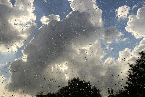 regentrop, window pane, drip, rain, rainy, rained out, storm, clouds, gloomy, cloud - sky, sky, nature, no people, wet, tree, water, beauty in nature, transparent, full frame, glass - material, drop, day, backgrounds, window, low angle view, sunlight, outdoors, rainy season, raindrop, 5K, CC0, public domain, royalty free