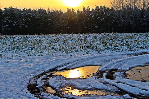 Schnee, Winter, Sonnenuntergang, Abendlicht, winterlich, schneebedeckt, gefroren, Pfütze, Natur, szenen, Reflexion, keine Leute, draußen, Wasser, kalte Temperatur, Baum, Ruhe, Pflanze, Schönheit in der Natur, Szenen - Natur, ruhige Szene, Himmel, Land, Nicht-städtische Szene, See, 5K, CC0, gemeinfrei, lizenzfrei