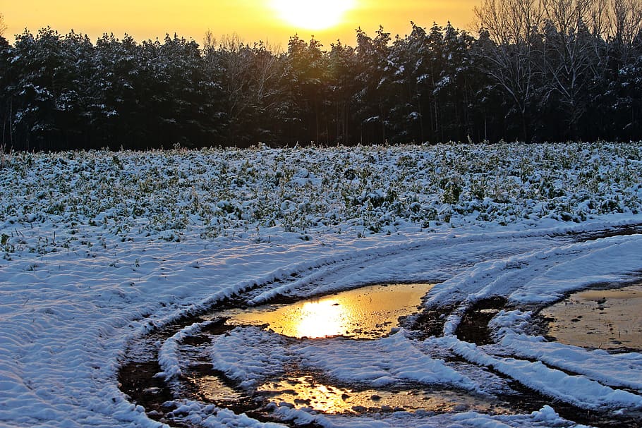 Schnee, Winter, Sonnenuntergang, Abendlicht, winterlich, schneebedeckt, gefroren, Pfütze, Natur, szenen, Reflexion, keine Leute, draußen, Wasser, kalte Temperatur, Baum, Ruhe, Pflanze, Schönheit in der Natur, Szenen - Natur, ruhige Szene, Himmel, Land, Nicht-städtische Szene, See, 5K