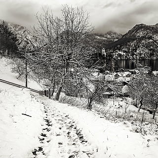 traunkirchen, hivern, neu, nevat, arbre, paisatge, blanc, blanc i negre, monocroma, muntanyes, temperatura de fred, planta, cobertura, arquitectura, estructura construïda, exterior de l'edifici, naturalesa, bellesa a la natura, edifici, cap gent, escenics - natura, arbre nu, camp, terra, Color blanc, dia, a l'aire lliure, muntanya nevada, 2K, CC0, domini públic, lliure de regalies