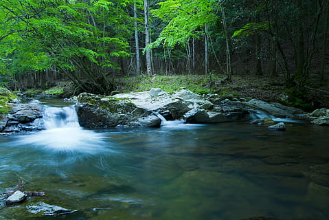 flod, bjerg, landskab, efterår, Skov, klar stream, japan, grøn, naturlig, skygge, vandfald, flyde, vand, frisk grøn, træ, plante, natur, skønhed i naturen, scenics - natur, solid, flydende vand, jord, rock-objekt, lang eksponering, klippe, ikke-urbane scene, bevægelse, ingen mennesker, grøn farve, ro, flyder, strøm - rindende vand, udendørs, magt i naturen, regnskov, 5K, CC0, offentligt domæne, royaltyfrie