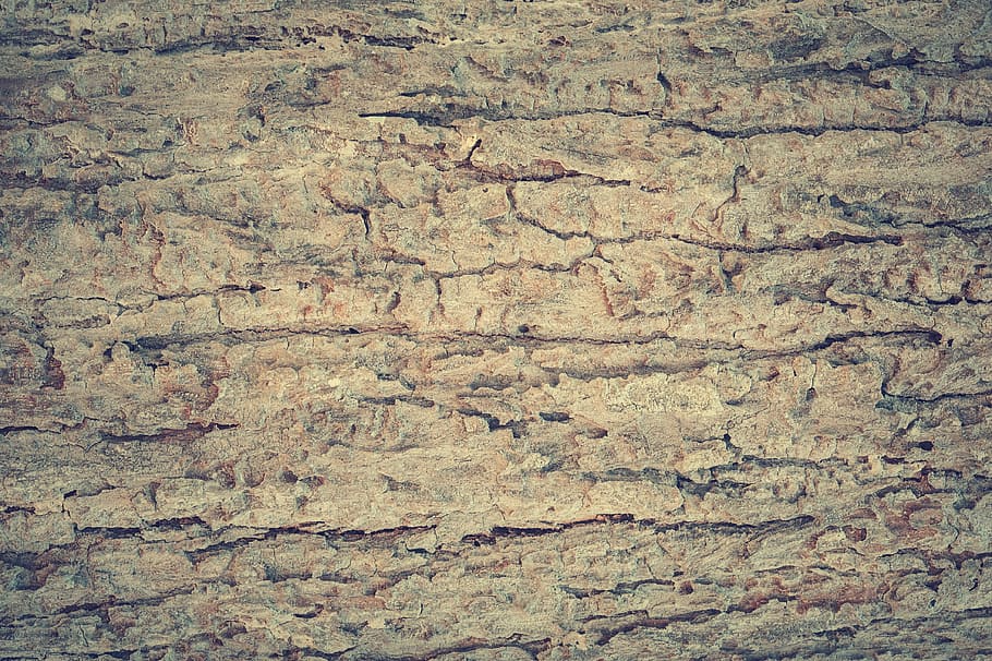 carta da parati di legno beige, astratto, antico, fondale, sfondo, abbaiare, tavola, Marrone, carpenteria, avvicinamento, arredamento, decorazione, decorativo, design, pavimento, foresta, grano, grunge, legno duro, casa, interno, linea, legname, Materiale, naturale, natura, nessuno, quercia, vecchio, arancia, sfondi, strutturato, modello, fotogramma intero, fibra, caratteristica della parete, ruvido, struttura costruita, intemperie, architettura, giorno, parete, danneggiato, legno - materiale, all'aperto, corri giù, 4K